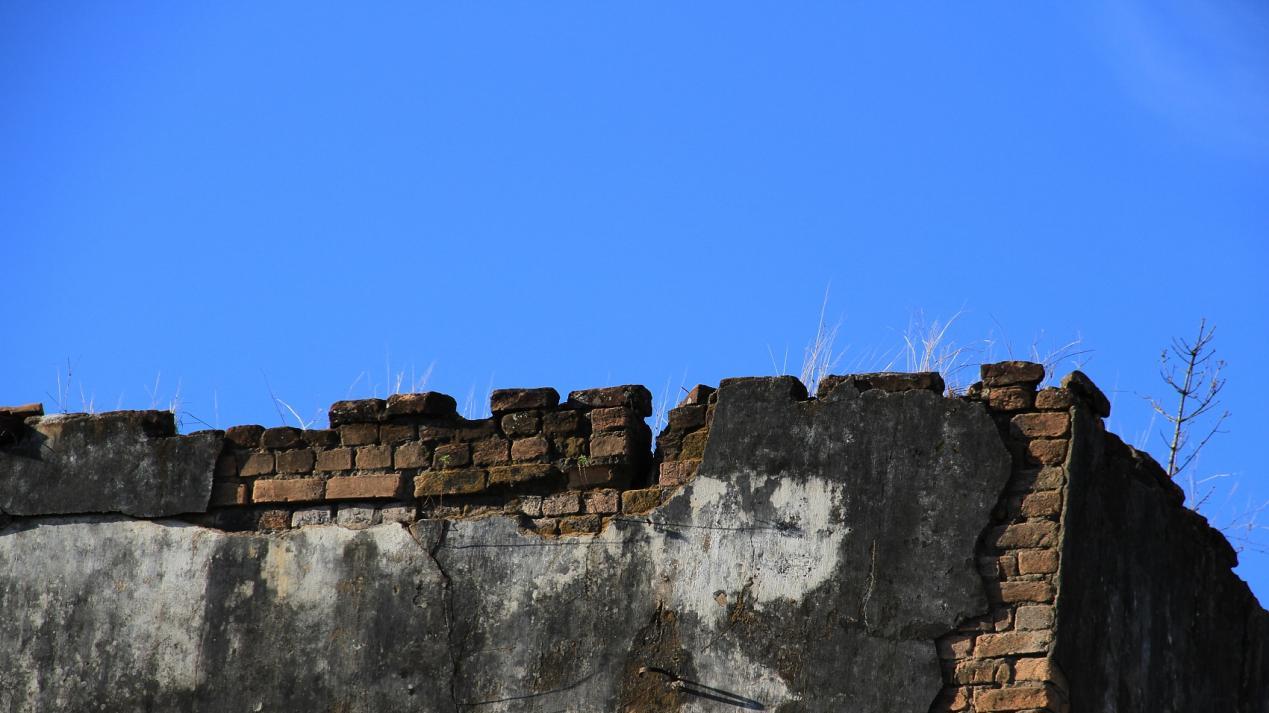 三代人的饥饿与和平