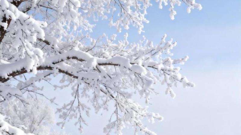 刷到个对联“白雪皑皑塞北情”直接给我整不会了