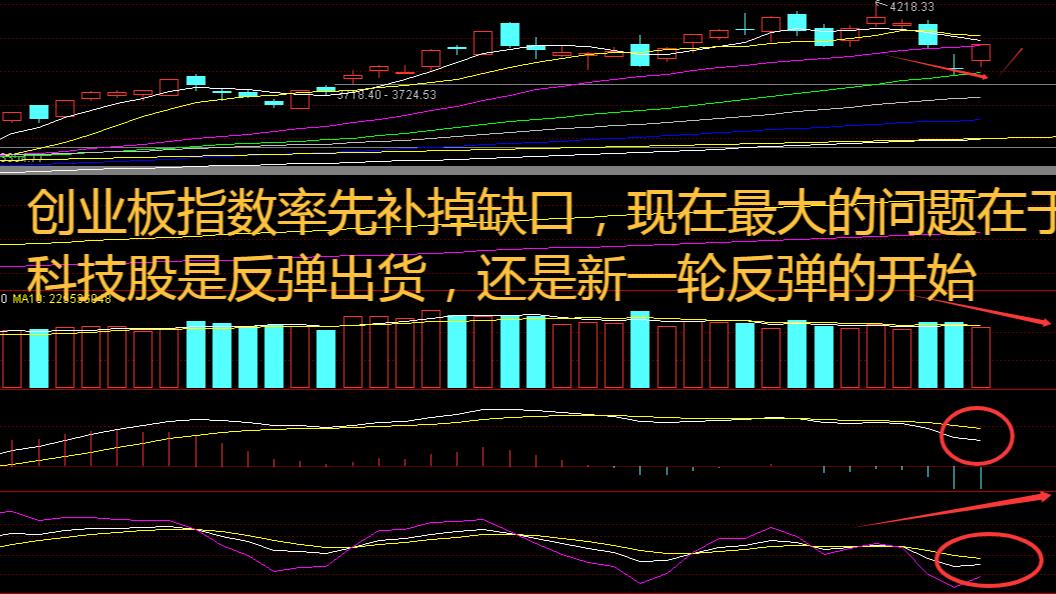 指数终结调整集体走强！“AI卖水人”的故事讲到了玻璃纤维？