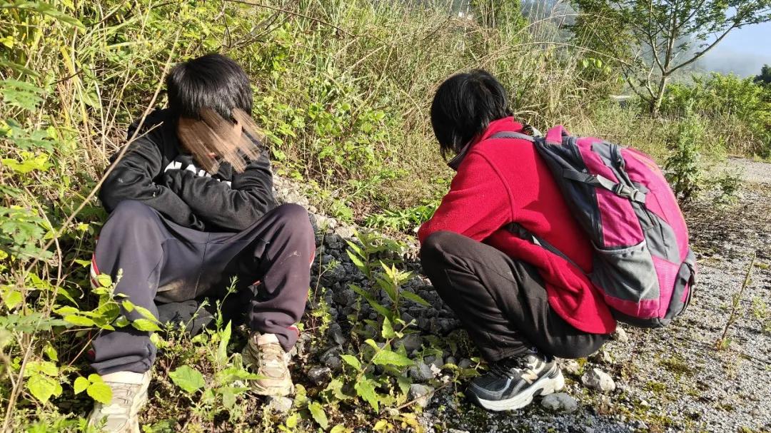 山有路、警有情，三日寻、终相见