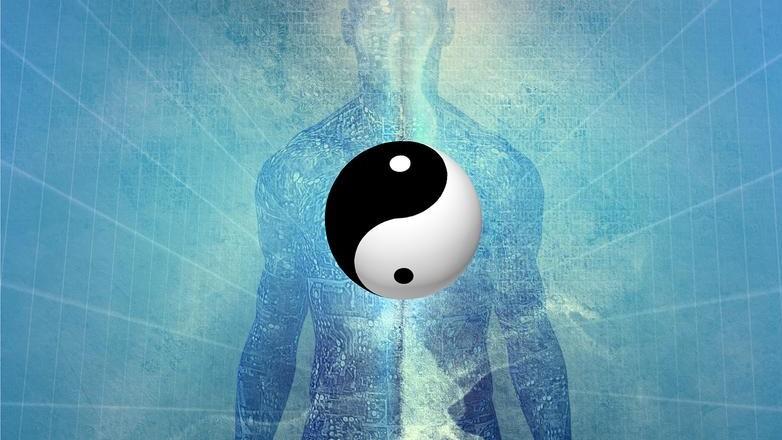 八字的干支之间是如何发生作用的？