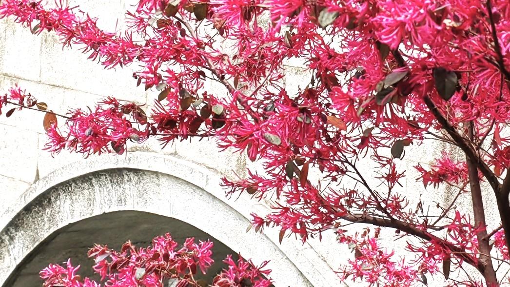 放假：职场解压至宝