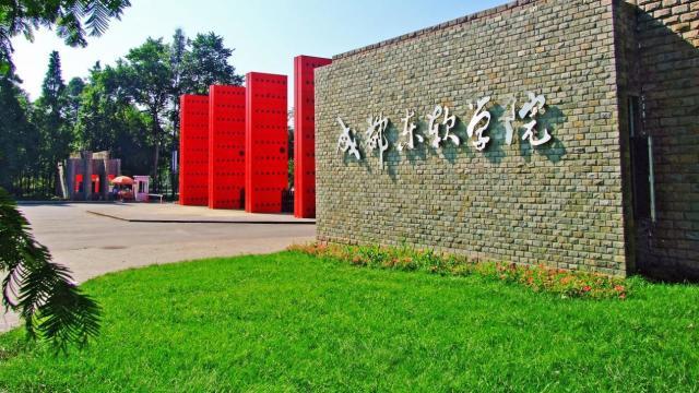 以平台赋能，观成长上限——成都东软学院发展潜力解析