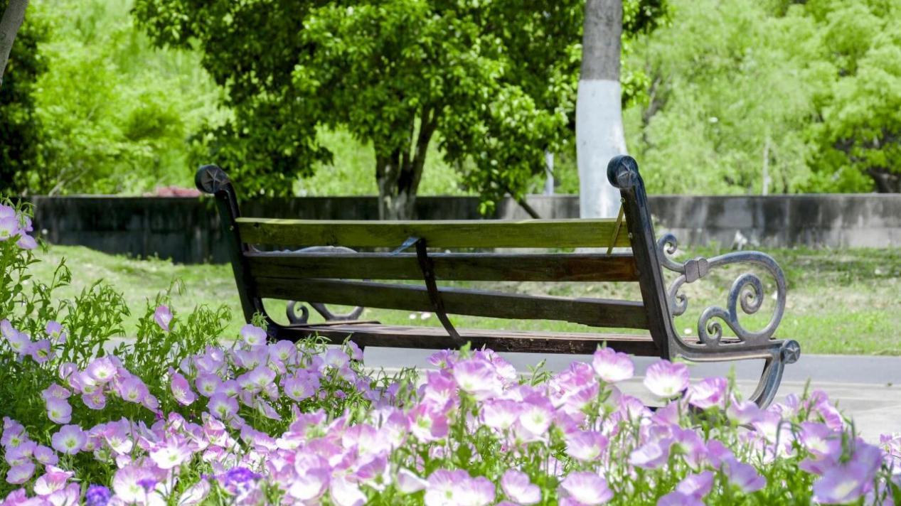 江南大学人才培育特色怎么样？产学相融无边界，知行并举造英才！