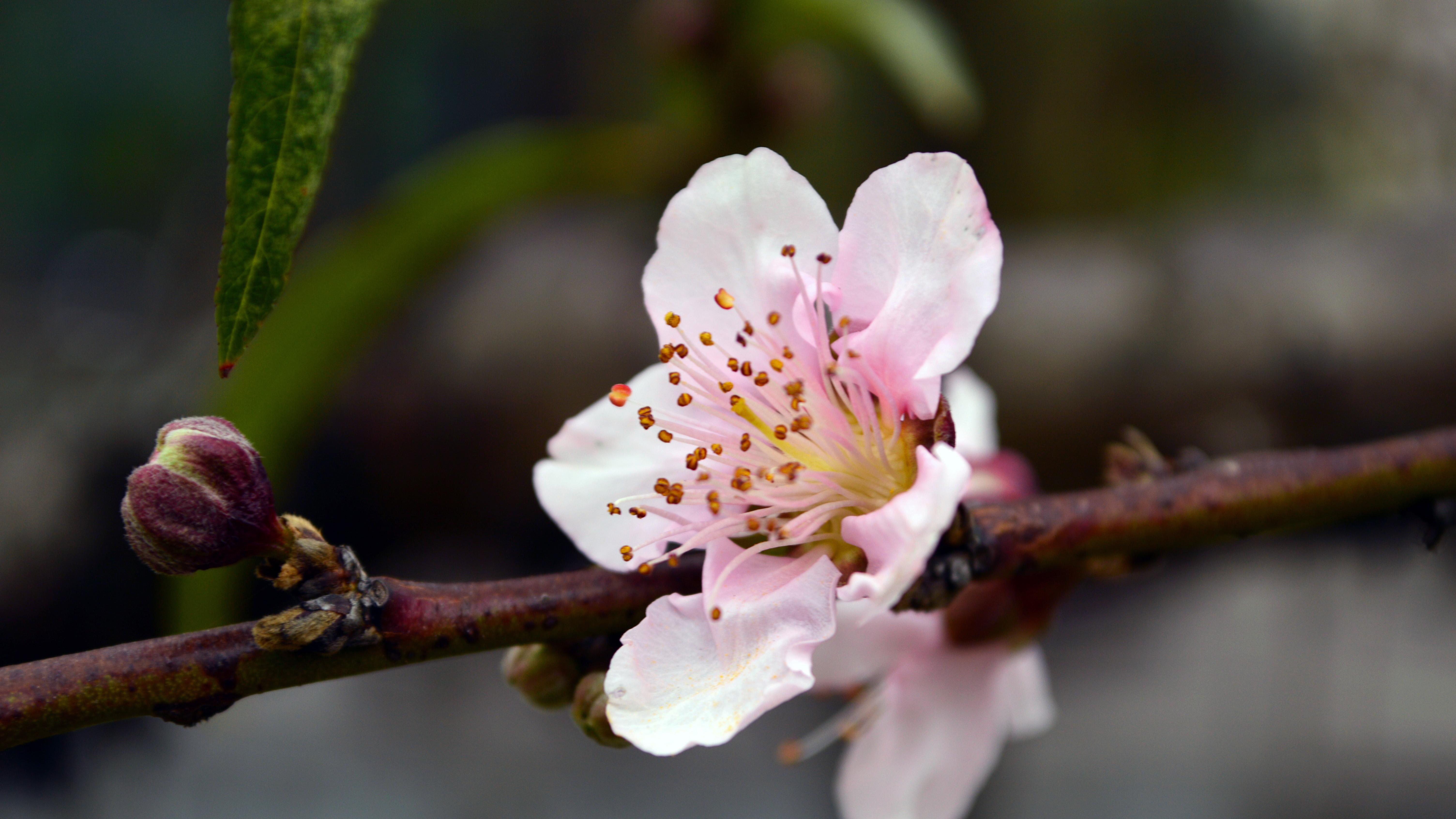 黄金一夜“滑铁卢”，真正被打爆的不是价格