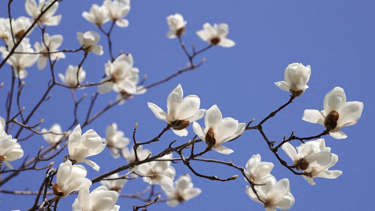 春日缺乏餐桌灵感怎么办？ 这三样家常搭配或许刚刚好