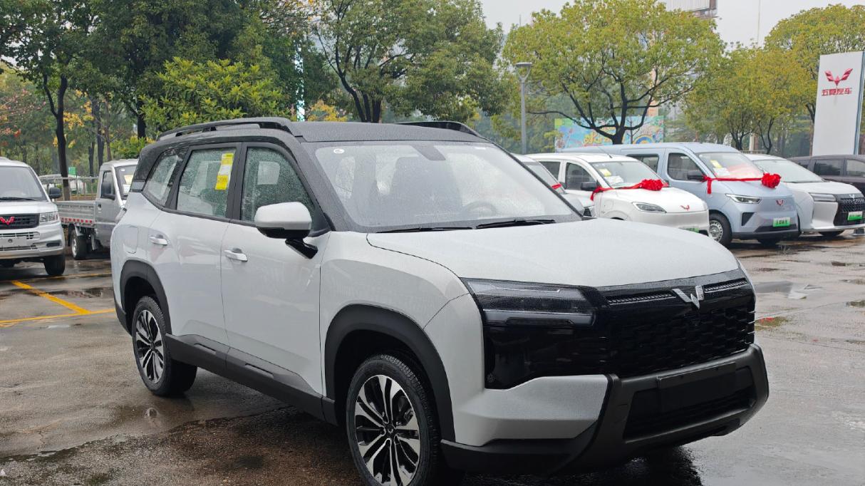 2810mm轴距大空间，起步6.28万比较克制，五菱星光560值吗？