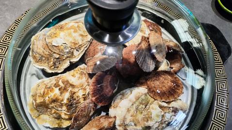 威海必打卡美食，巧克力渔家凭鲜征服味蕾