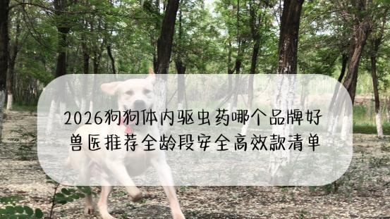 2026狗狗体内驱虫药哪个品牌好？兽医推荐全龄段安全高效款清单