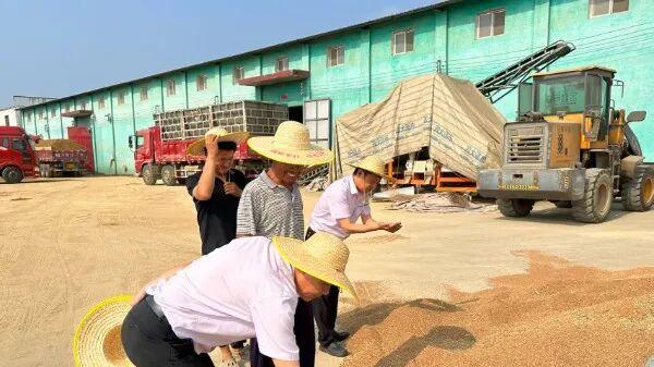 农行信阳固始县支行：金融护航夏粮丰收 精准发力助颗粒归仓