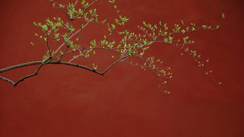 买房这件事，终于让数据做主