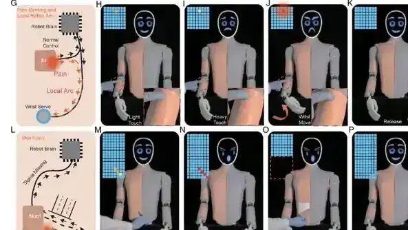 还得是科技圈玩的花，怕疼的机器人都做出来了