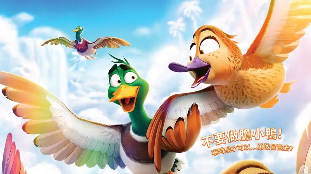 迁徙悟鸭生——《飞鸭向前冲》