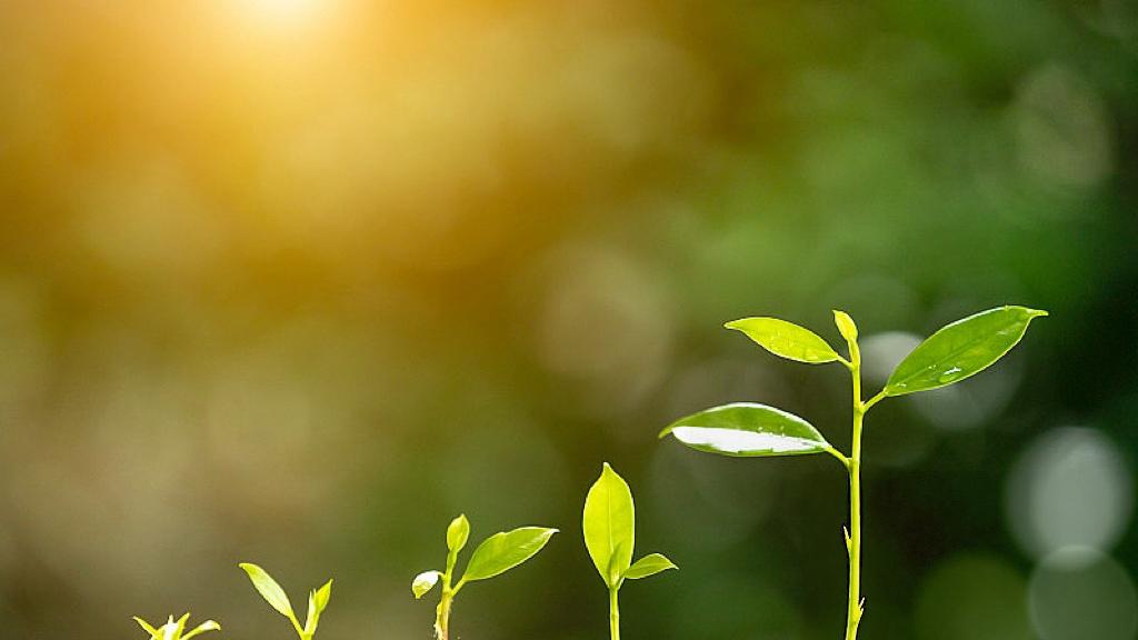 为什么指数不跌、你却感觉市场很累？