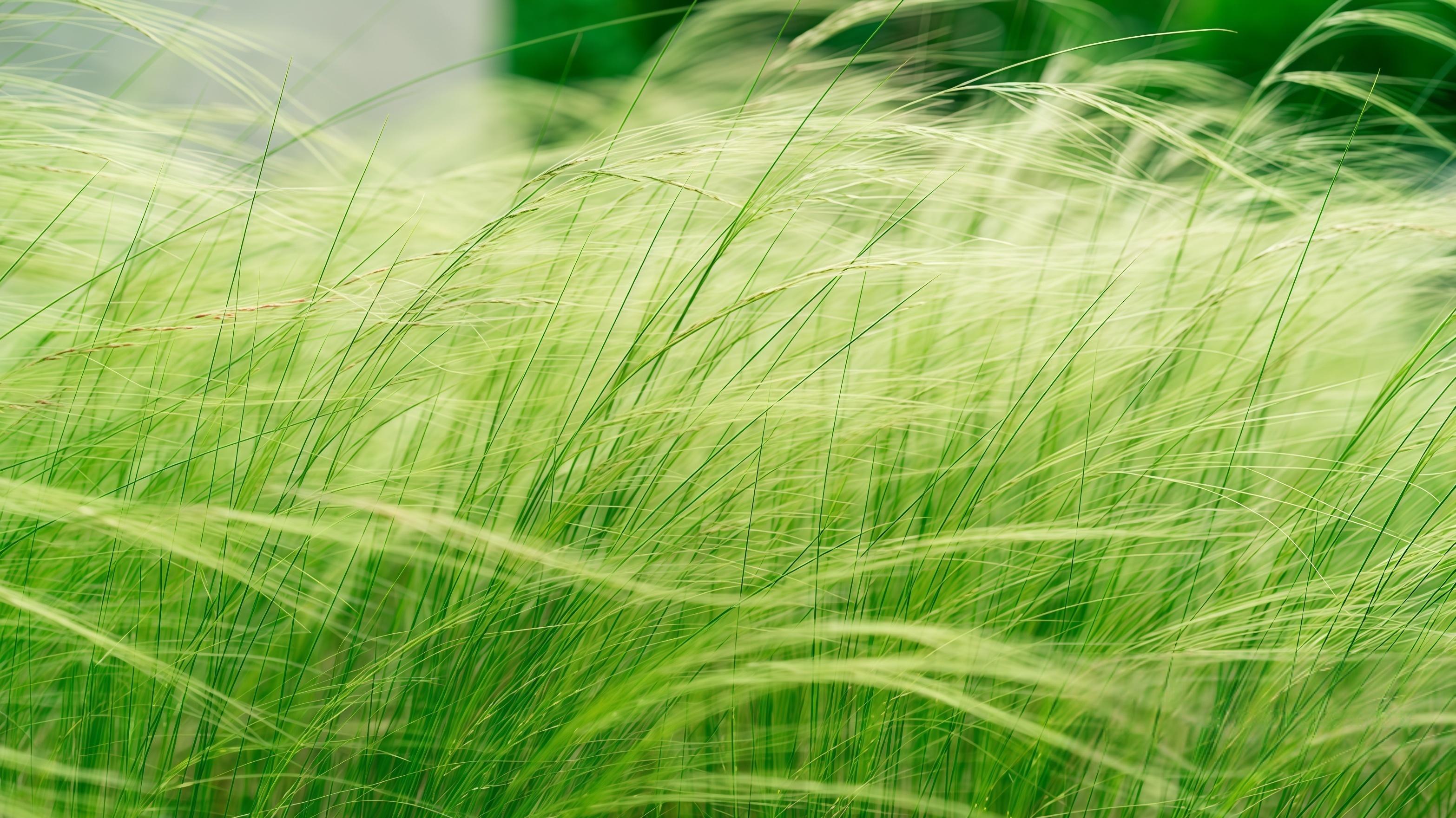 为什么“党性”决定政绩？