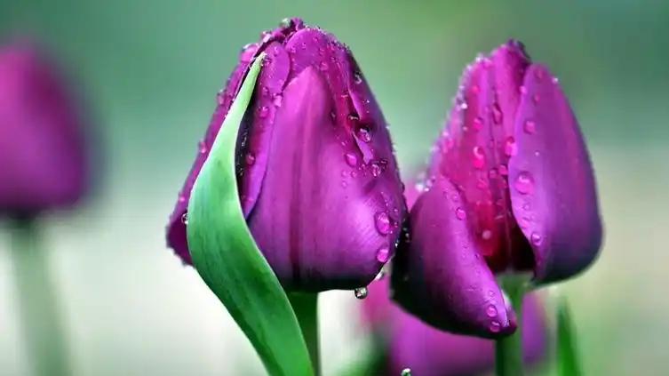 请做一个“不随便接话”的人