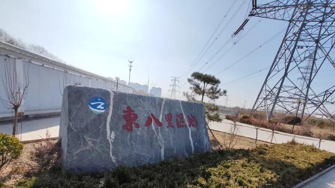 记录德州：探秘德州城西占地800余亩的湿地公园