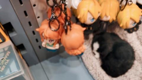 从铁馆到法庭：馆长陈之汉的流量滑坡实验