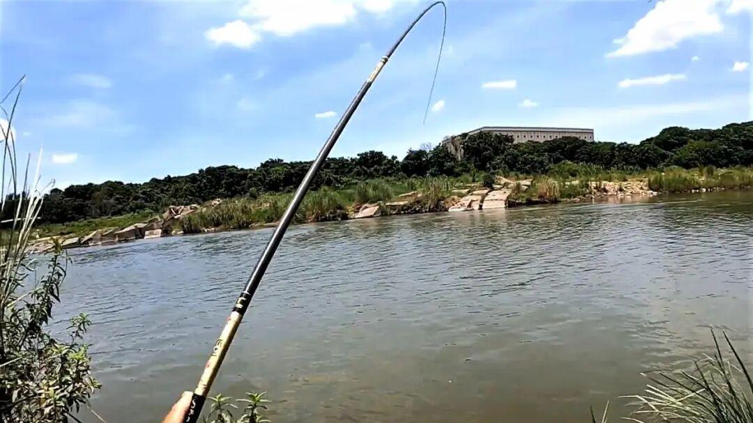 新手买鱼竿，记住“三不买”：不买贵的、不买硬的、不买长的！