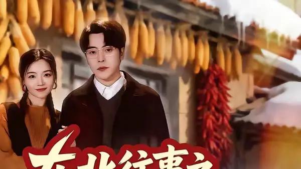 《东北往事之锦绣人生》黑金风云燃爽与命运博弈（30集）