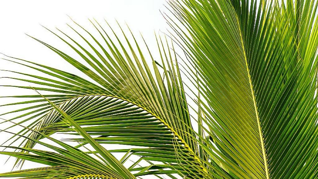 伊朗最高领袖遇害，为何全世界都紧张了？