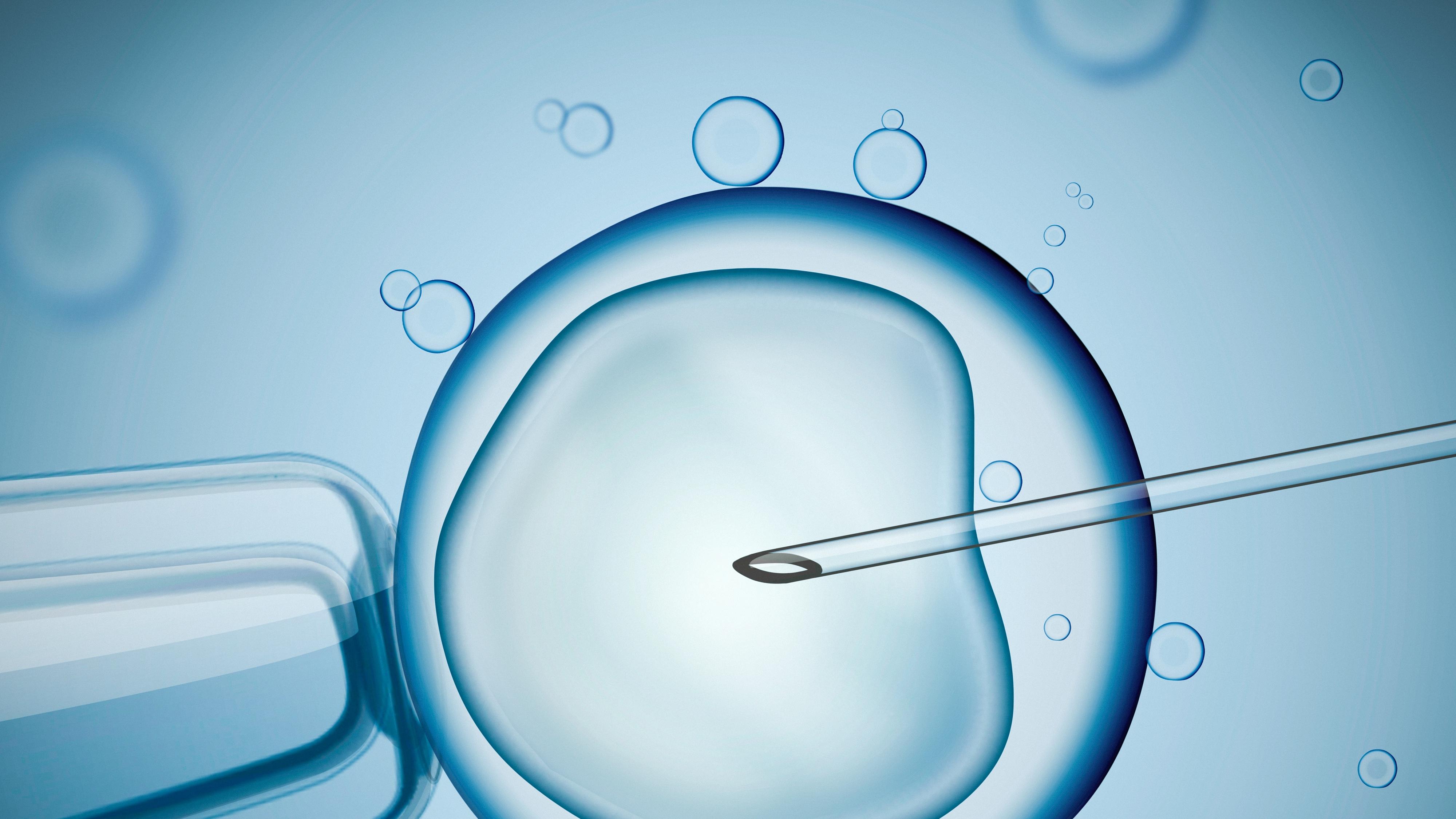 原来试管婴儿也有高危情况与注意事项