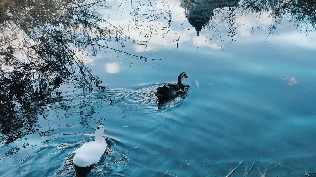 庄子三句话，治好了我的社交内耗