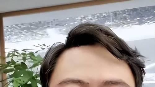 张铁林入籍英国，高亚麟被曝家暴，老艺术家们怎么了？