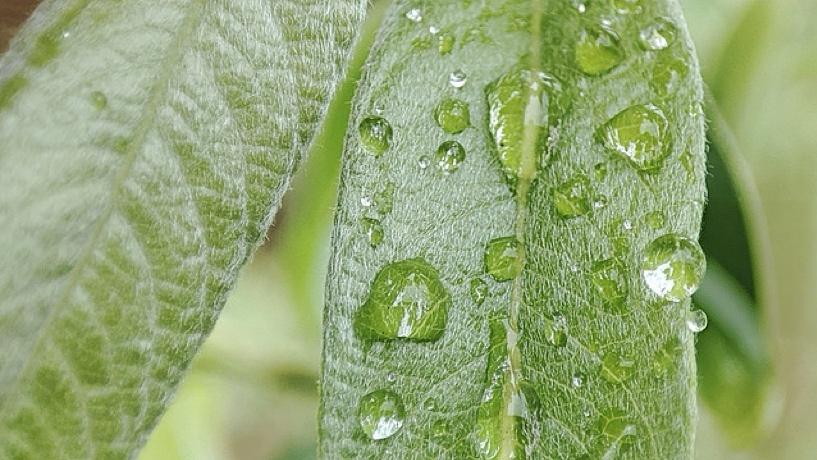 情绪生意，别只卖感觉