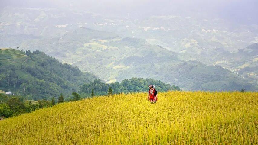一位家电销售人员的自我修养