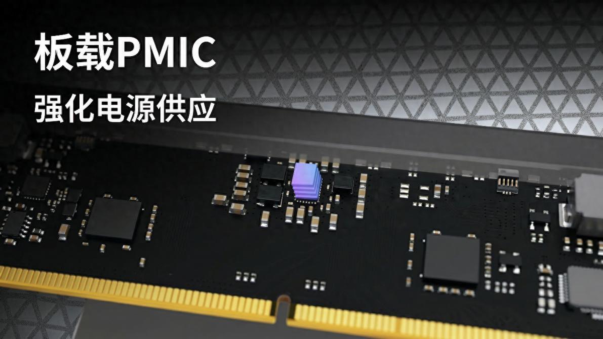 棘蛇「钱龙」DDR5：深渊逆鳞，重铸高阶存储契约