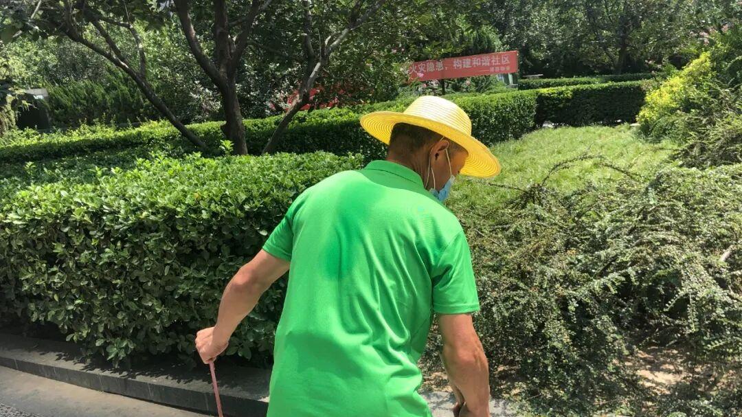 烈日炎炎 | 用汗水诠释责任