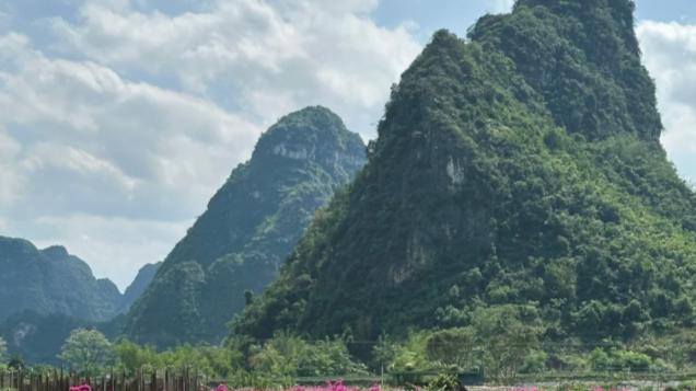 桂西南秘境明仕田园：碧水绕乡野，藏着南国治愈山水