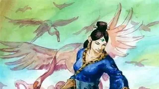 一场隔空的婚配实验