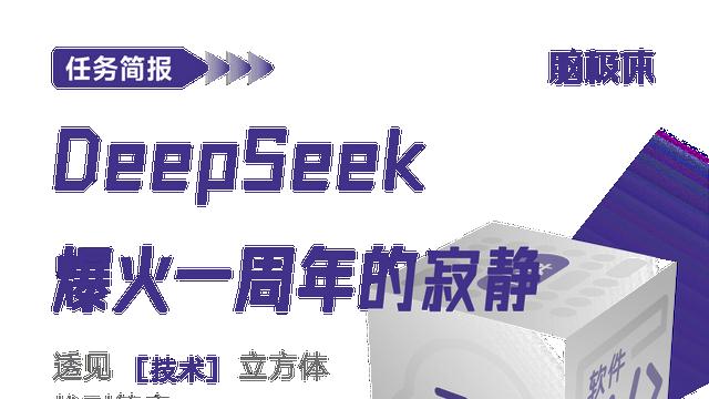 DeepSeek爆火一周年的寂静