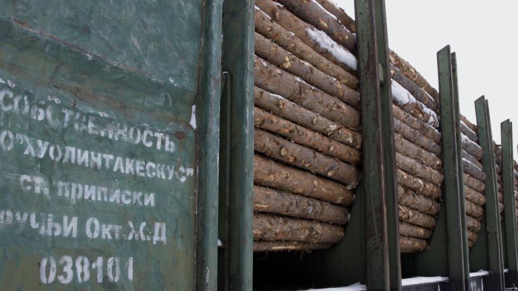 俄罗斯木材与中东危机：出口商面临的新挑战