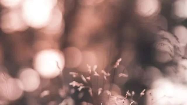 日子是我们活着的地方