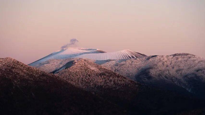 家电企业比想象中的坚强和聪明