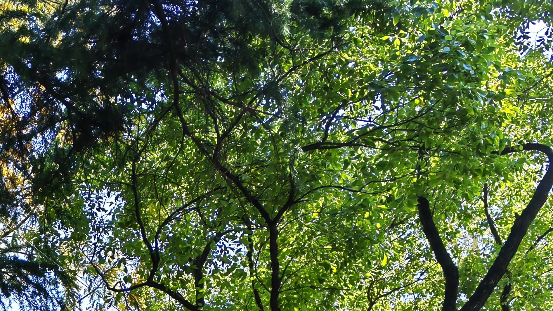 职场卷不卷：先挑重担，后路自宽