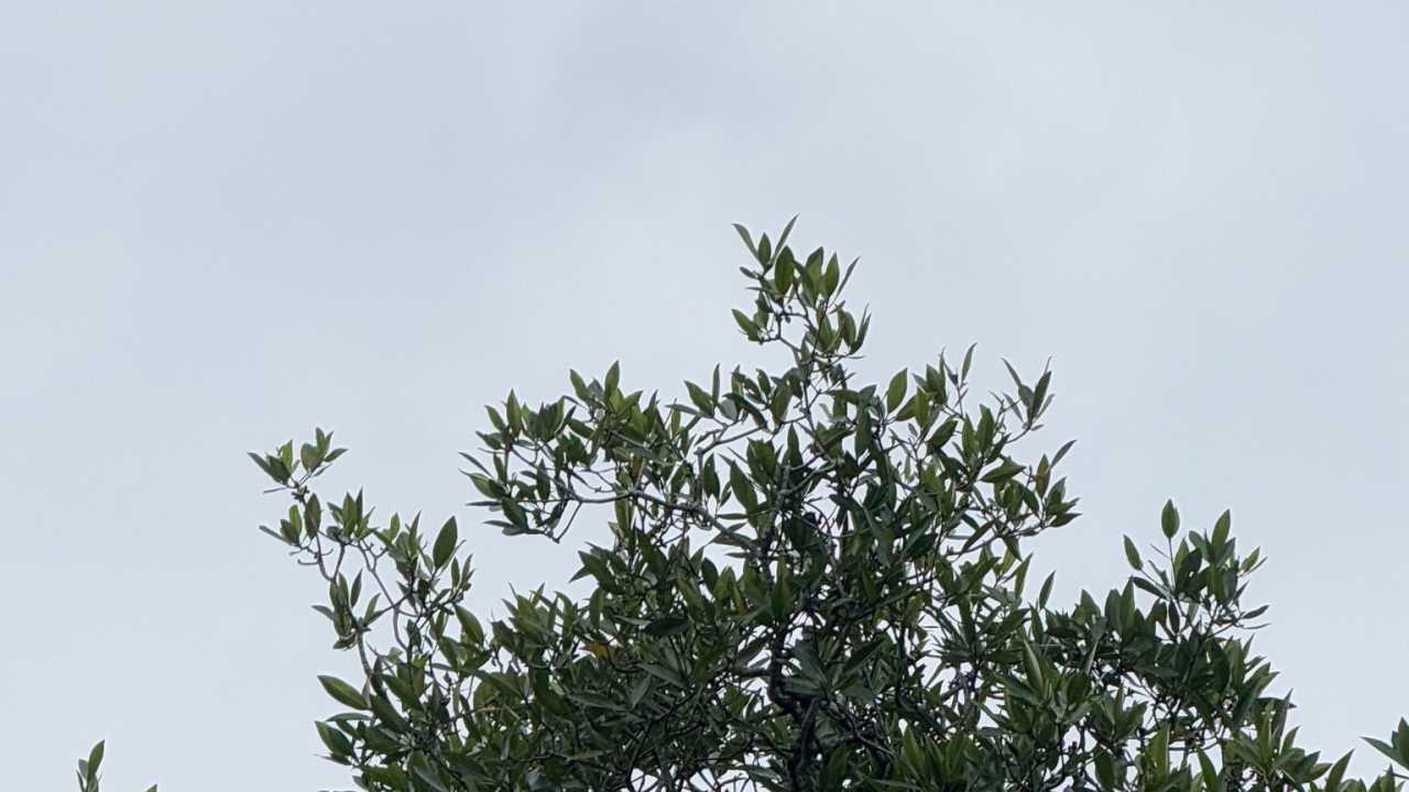 沙巴+文莱遇见雨季里的晴天，沙滩+日落