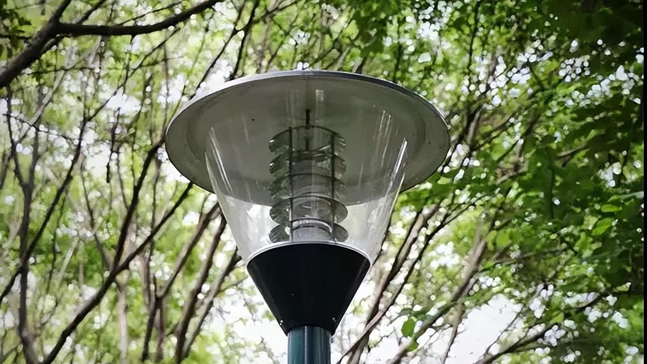 每个人都有自己独特的地方