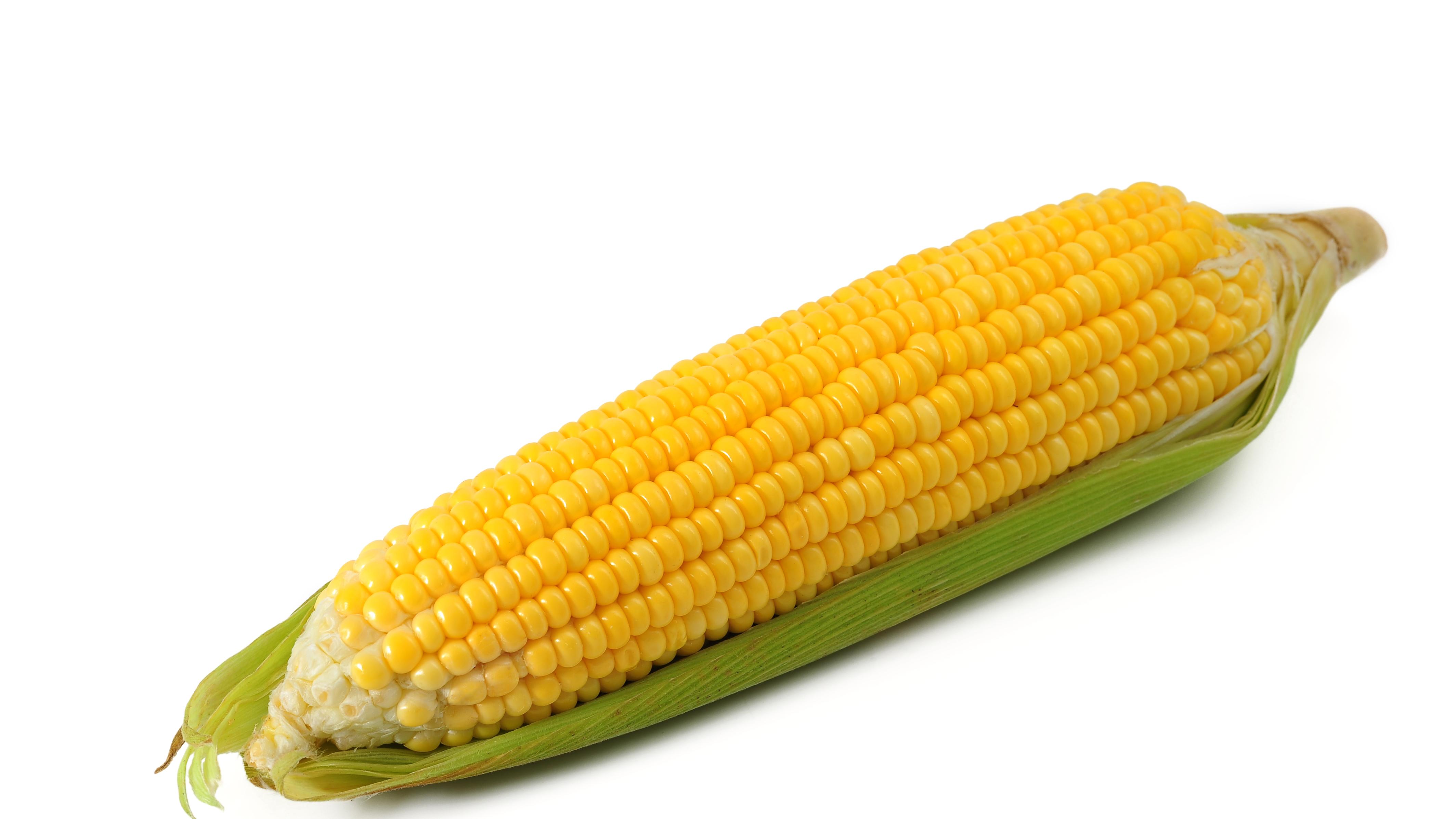 香港IPO市场，要重新燃起来了？