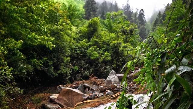 风里雨里，闻“汛”而动的通信卫士