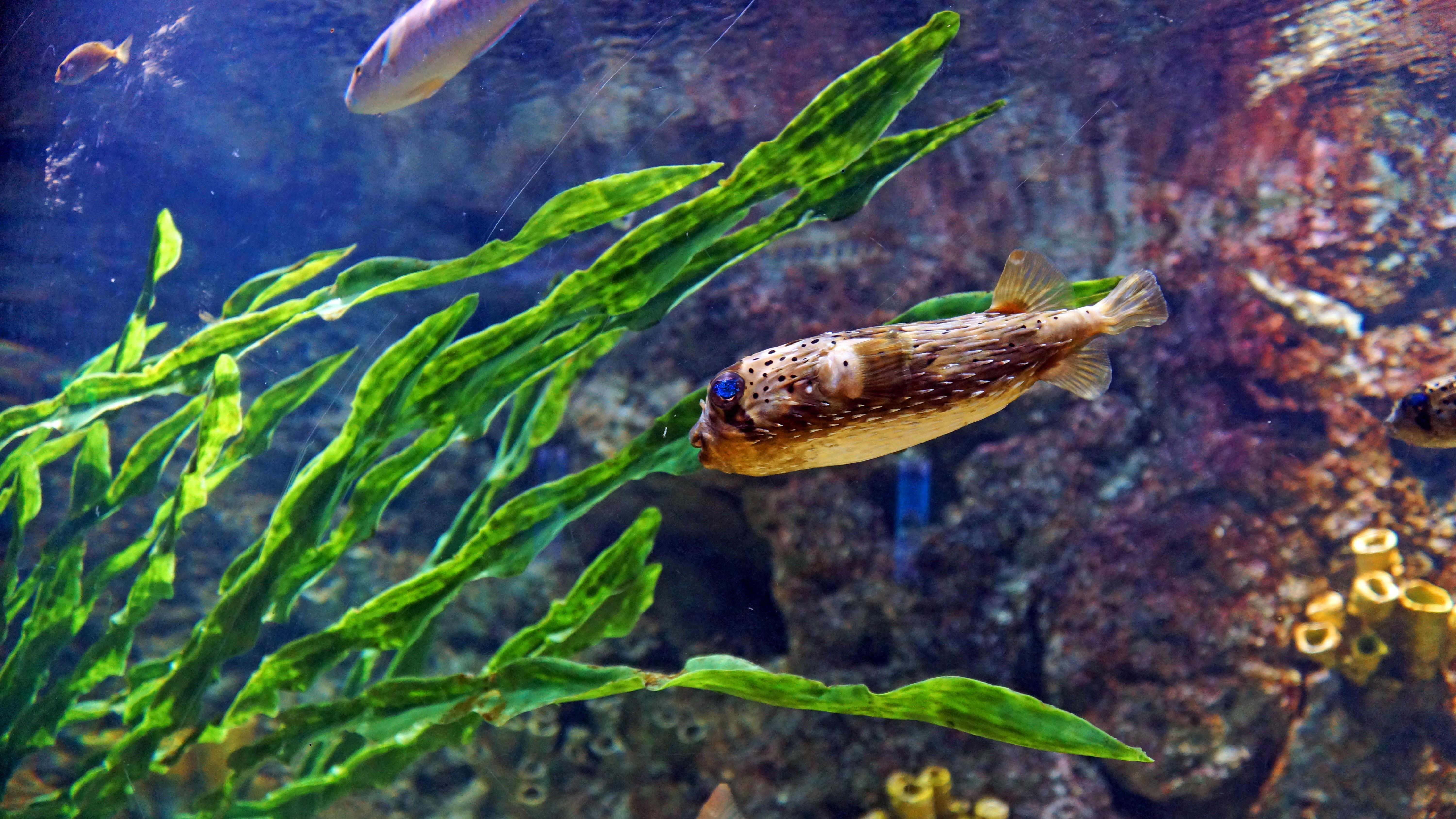 “中国冲击2.0”？别闹了，这是全球最稳的机遇