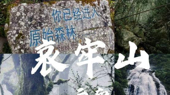 秘境寻踪，共生致远 品质中国节目《哀牢山》