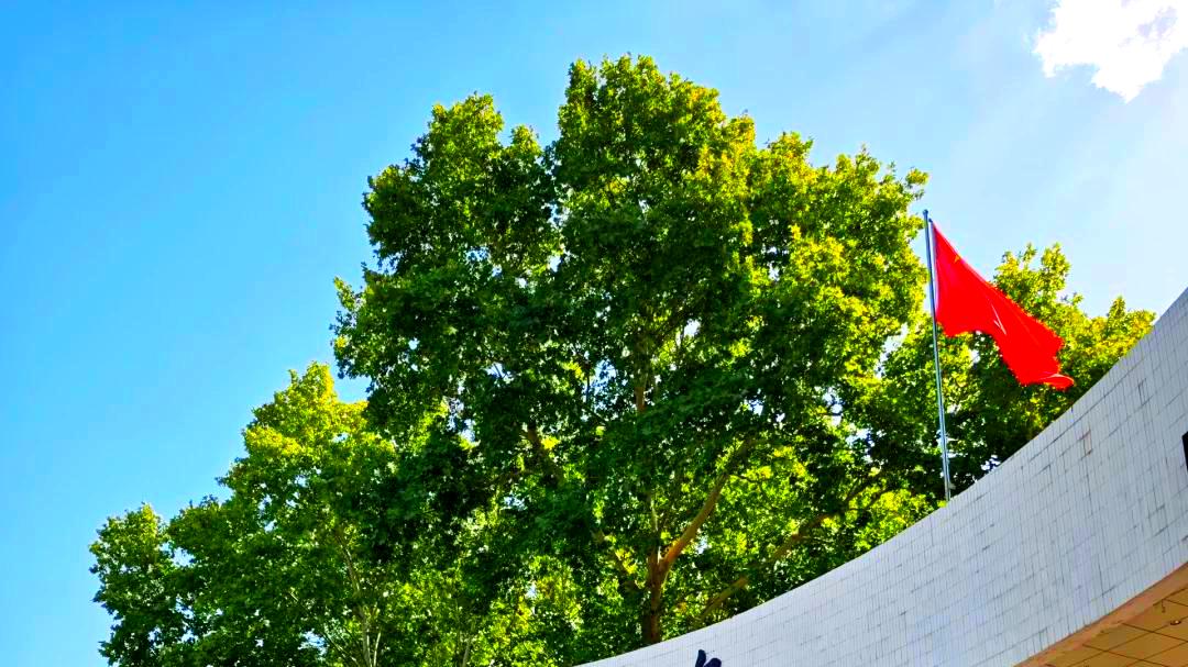 新增缺口100万人的专业！2026“强基”第一枪，西安交大官宣火了