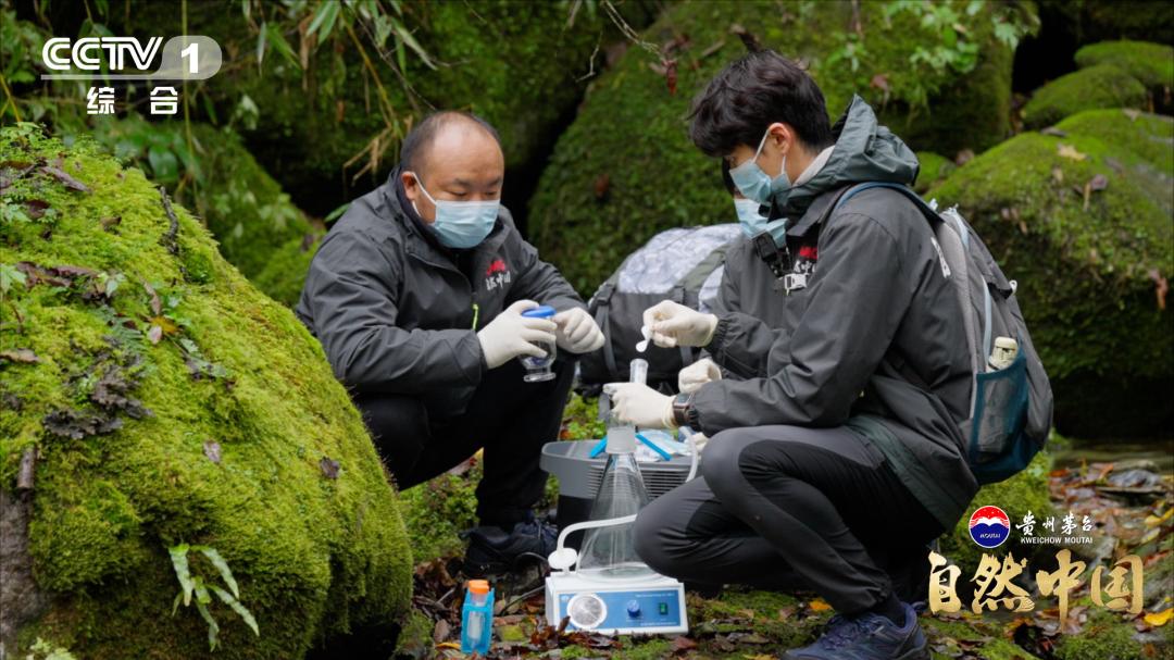 《熊猫家园》：从地质史诗到共生之道，探寻国宝故土的生命密码