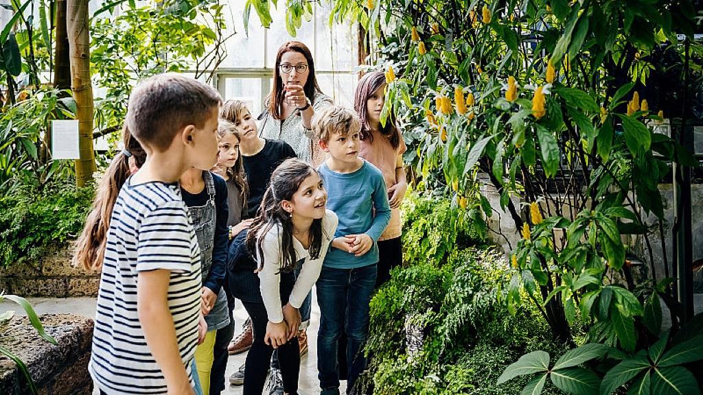 今天是情人节，为何越来越多人不谈恋爱了？