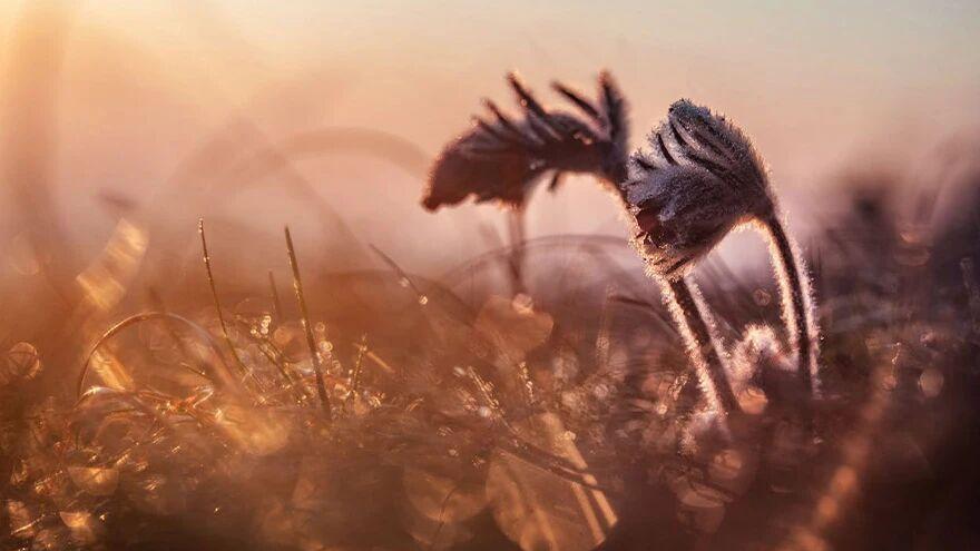 你正在被“梦境”困扰吗？