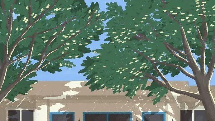 双相换医减药后，我靠这几条稳住情绪不崩溃